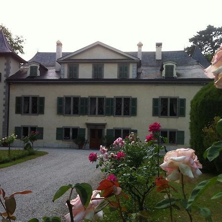 Hotel Chateau De Veigy Exteriér fotografie